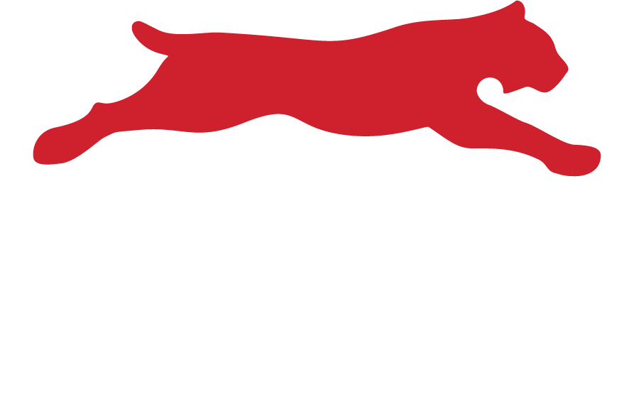 EZLynx